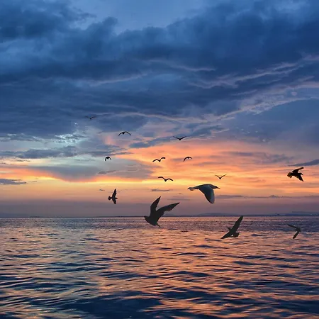 Emocja Ξενοδοχείο Mielno (Koszalin)