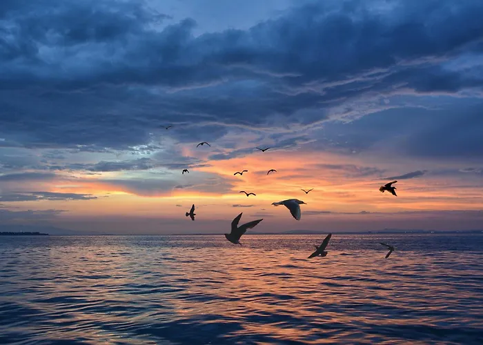 Emocja Hotel Mielno (Koszalin)